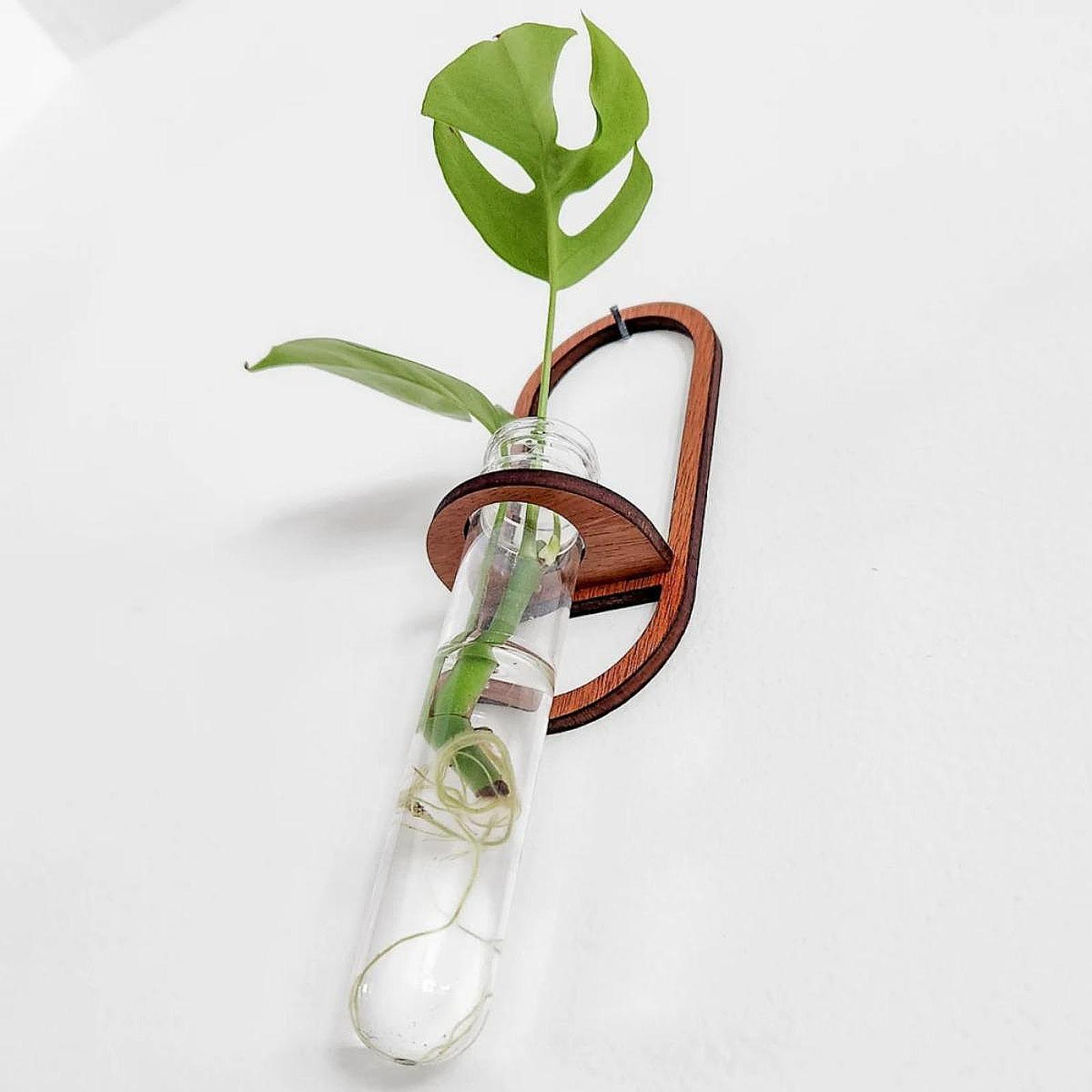 水耕栽培用プランター、木製壁掛け棚、試験管を使った育苗ステー - Propagation Station Vase のレビューと価格