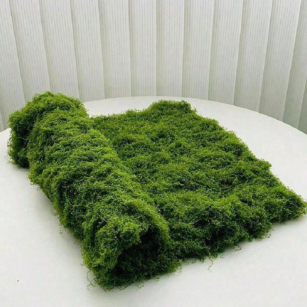 1×1m フェイクモス DIY クラフト 芝生 人工苔 フェ - Sphagnum Moss Dry のレビューと価格