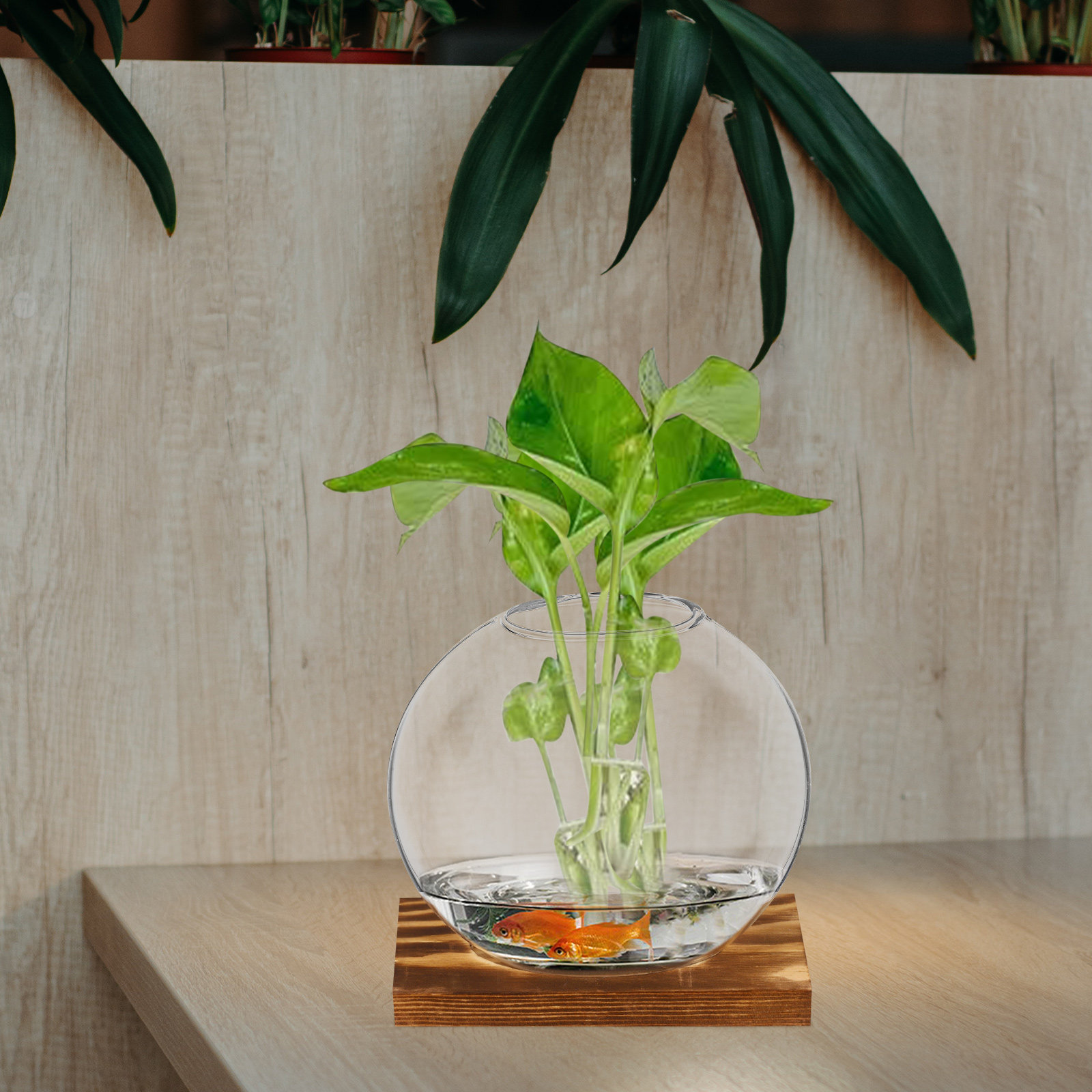 2個セットのガラス製小型花瓶。リビングや家のインテリア、透明 - Propagation Station Vase のレビューと価格